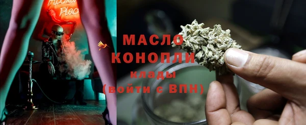 хмурый Дмитров