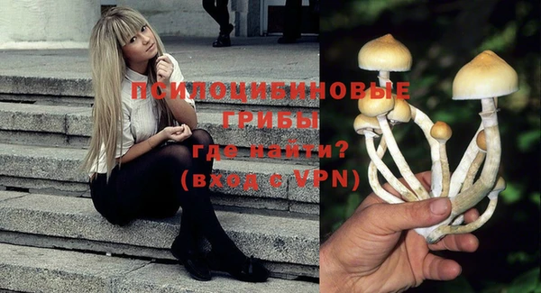 хмурый Дмитров