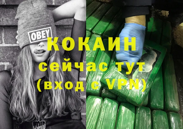 хмурый Дмитров