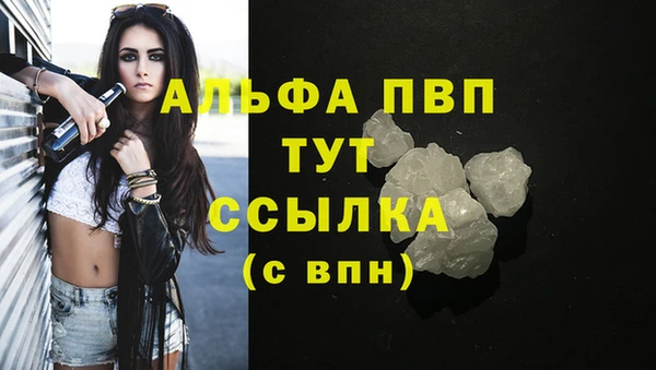 хмурый Дмитров