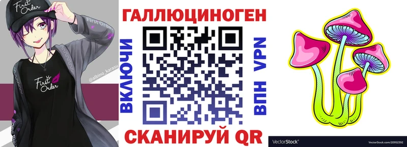 где можно купить наркотик  Унеча  Галлюциногенные грибы Cubensis 