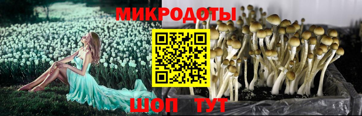 Унеча  Галлюциногенные грибы GOLDEN TEACHER  Вход с VPN 